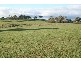3 Orange Road, Millthorpe NSW 2798