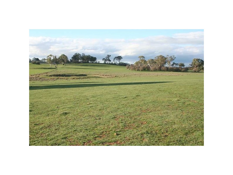 3 Orange Road, Millthorpe NSW 2798