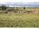 3 Orange Road, Millthorpe NSW 2798