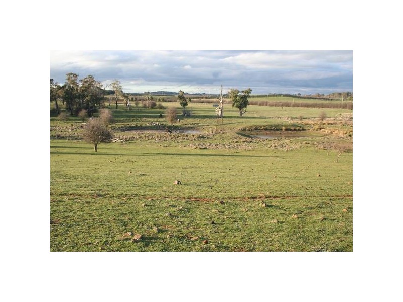 3 Orange Road, Millthorpe NSW 2798