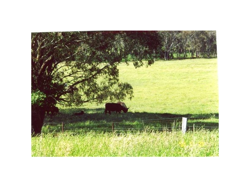 5964 Mid Western Highway (Mandurama), Blayney NSW 2799