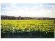 5964 Mid Western Highway (Mandurama), Blayney NSW 2799