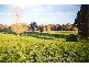 5964 Mid Western Highway (Mandurama), Blayney NSW 2799