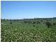 - Mid Western Highway (Mandurama), Blayney NSW 2799