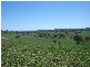 - Mid Western Highway (Mandurama), Blayney NSW 2799