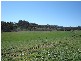 - Mid Western Highway (Mandurama), Blayney NSW 2799