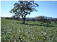 - Mid Western Highway (Mandurama), Blayney NSW 2799