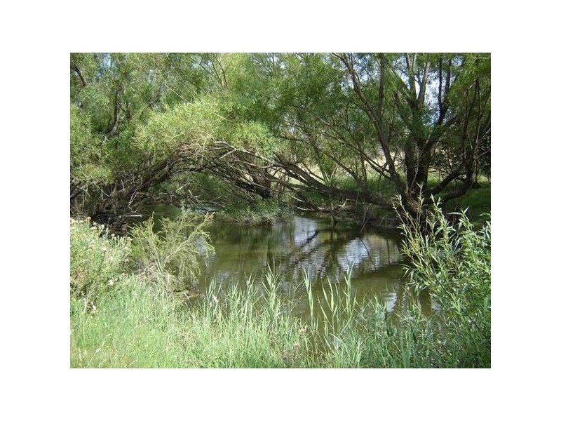 - Mid Western Highway (Mandurama), Blayney NSW 2799