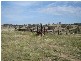 - Mid Western Highway (Mandurama), Blayney NSW 2799