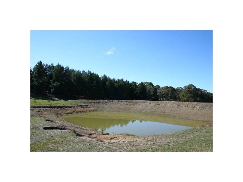 Mid Western Highway, Orange NSW 2800