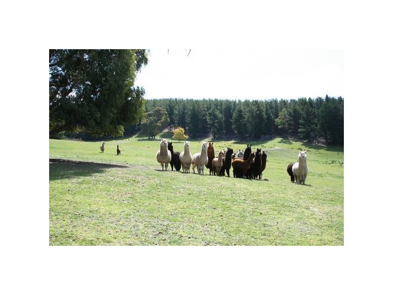 Mid Western Highway, Orange NSW 2800