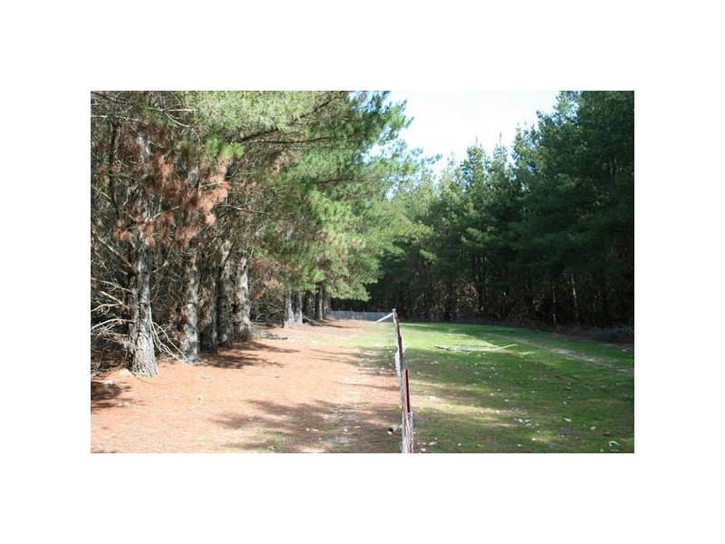 Mid Western Highway, Orange NSW 2800