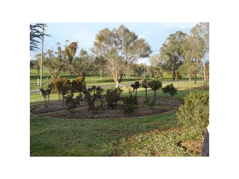 18 Orange Road (Manildra), Molong NSW 2866