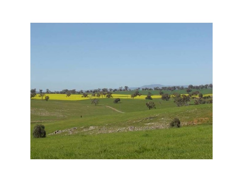2 Peabody Road, Molong NSW 2866