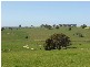 2 Peabody Road, Molong NSW 2866