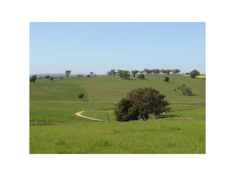 2 Peabody Road, Molong NSW 2866