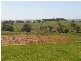 2 Peabody Road, Molong NSW 2866