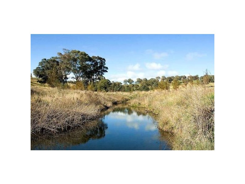 Forbes Road, Orange NSW 2800