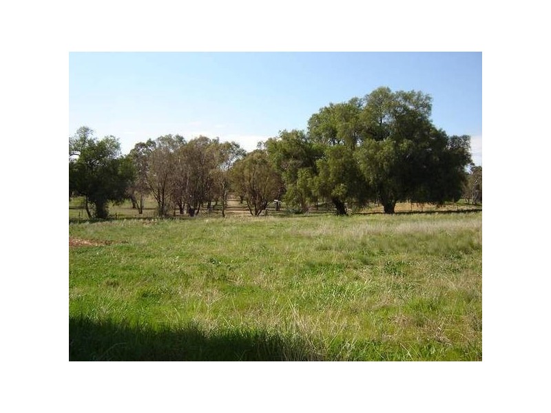 7 Pocknalls Road, Molong NSW 2866