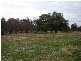 7 Pocknalls Road, Molong NSW 2866