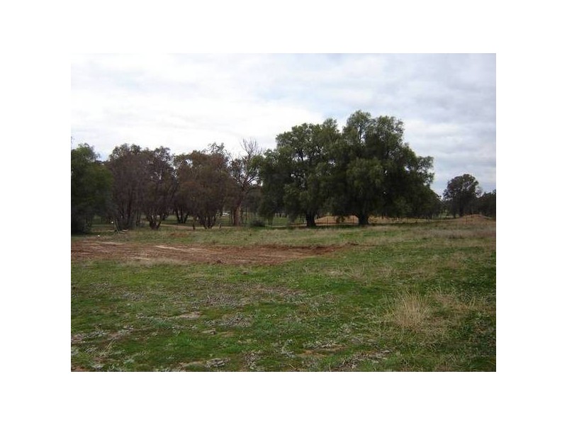 7 Pocknalls Road, Molong NSW 2866