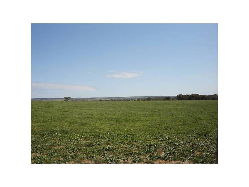 7 Pocknalls Road, Molong NSW 2866