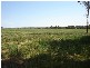 7 Pocknalls Road, Molong NSW 2866