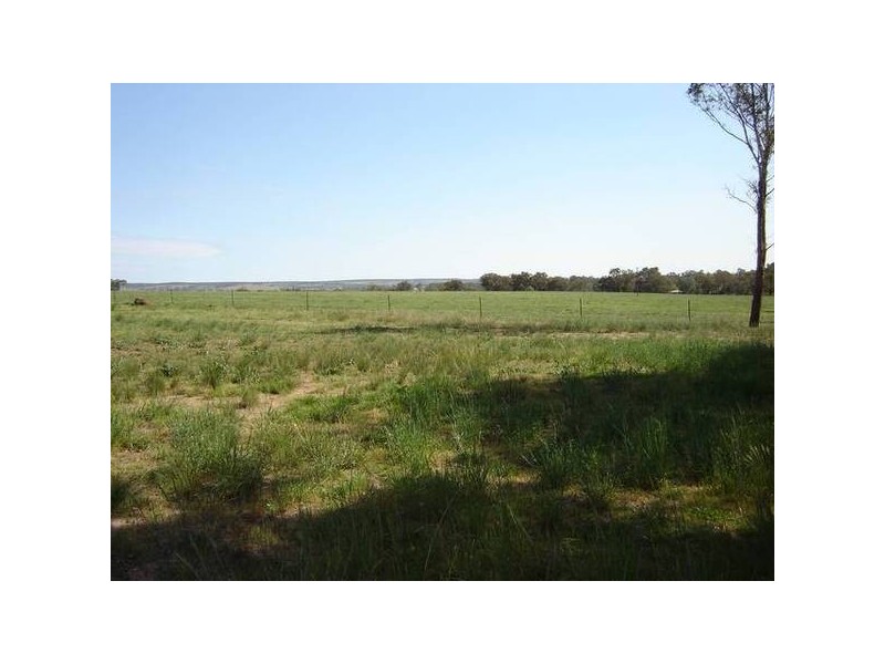 7 Pocknalls Road, Molong NSW 2866