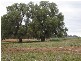 7 Pocknalls Road, Molong NSW 2866