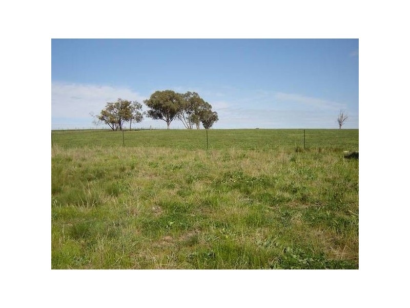 7 Pocknalls Road, Molong NSW 2866