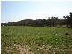 7 Pocknalls Road, Molong NSW 2866