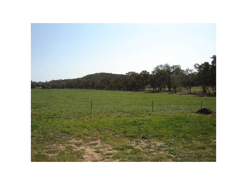 7 Pocknalls Road, Molong NSW 2866