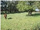 Giles Road, Orange NSW 2800