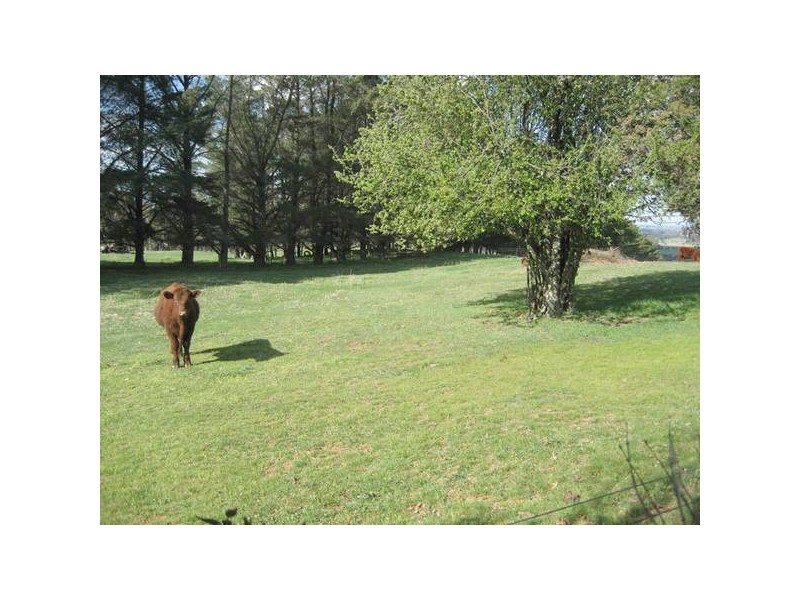 Giles Road, Orange NSW 2800