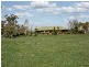 Giles Road, Orange NSW 2800