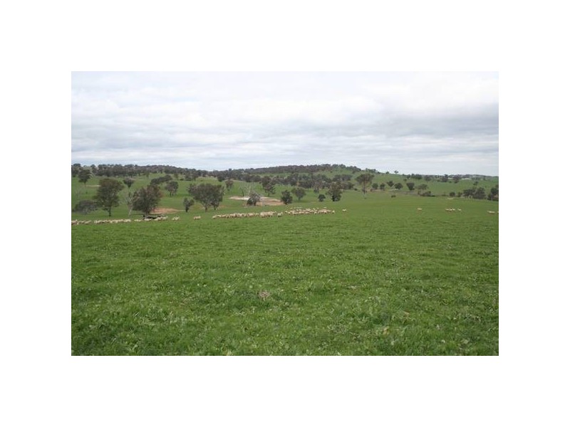 Lawson Road, Orange NSW 2800