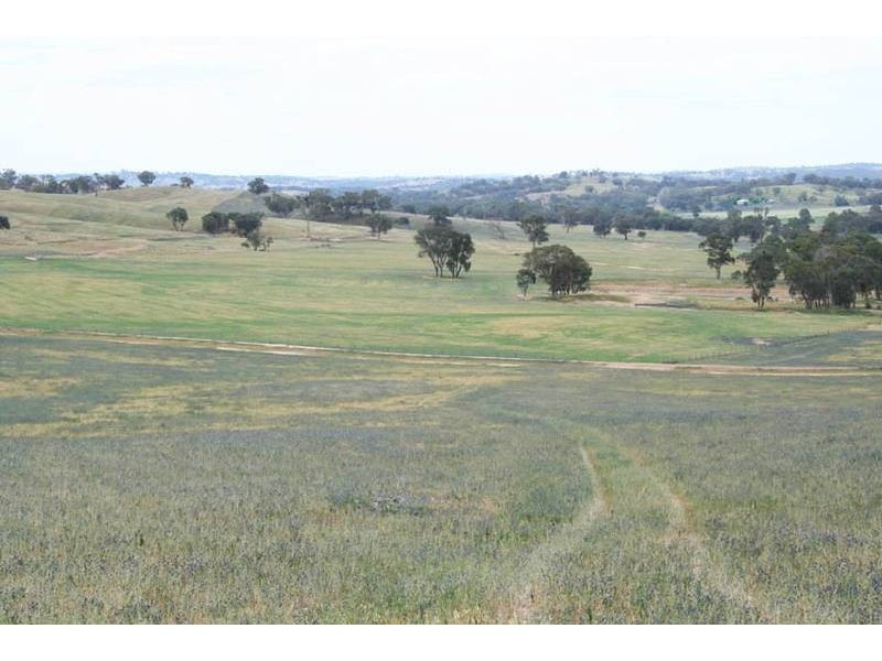 Burrendong Way, Orange NSW 2800