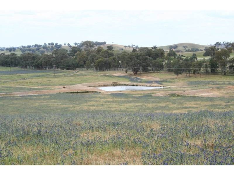 Burrendong Way, Orange NSW 2800