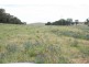 Burrendong Way, Orange NSW 2800