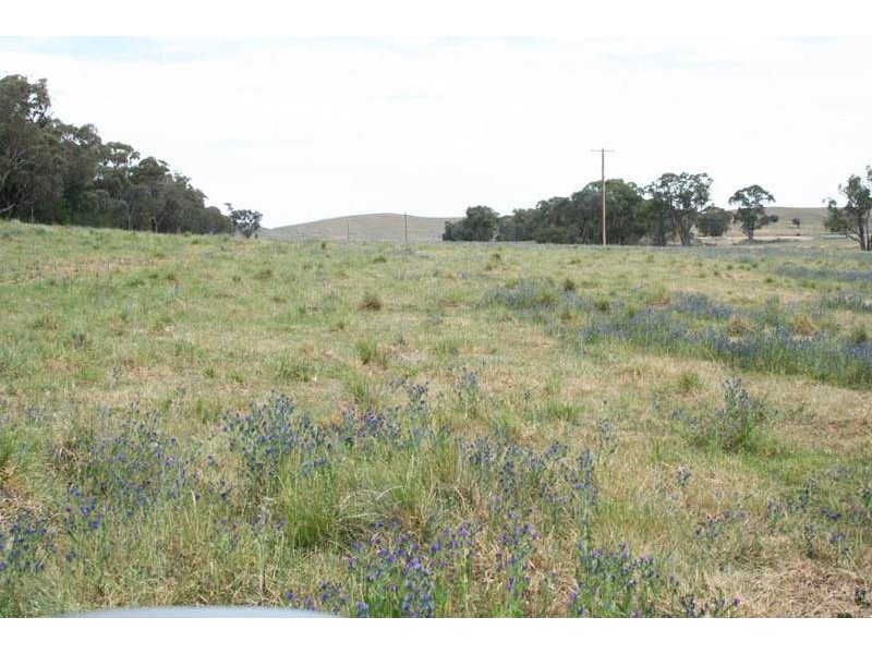 Burrendong Way, Orange NSW 2800