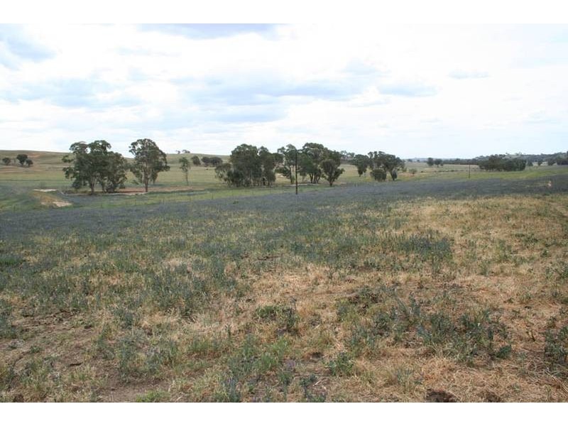 Burrendong Way, Orange NSW 2800