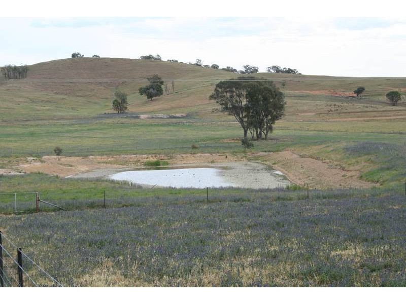 Burrendong Way, Orange NSW 2800