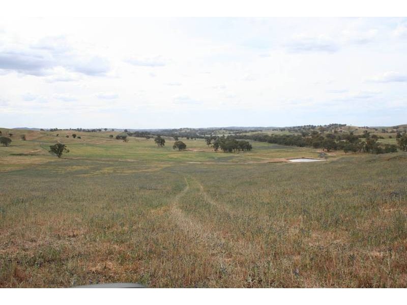Burrendong Way, Orange NSW 2800