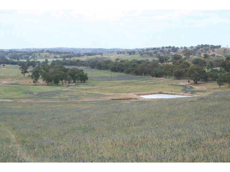 Burrendong Way, Orange NSW 2800