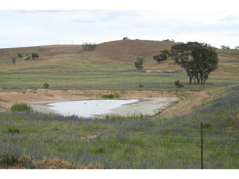 Burrendong Way, Orange NSW 2800