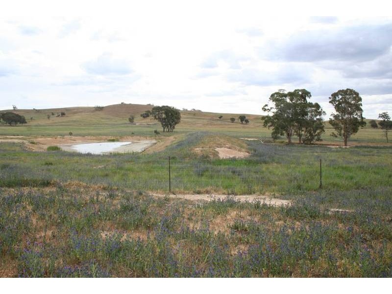 Burrendong Way, Orange NSW 2800