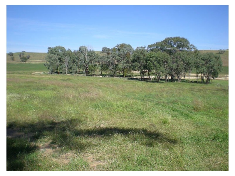 Burrendong Way, Orange NSW 2800