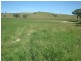 Burrendong Way, Orange NSW 2800