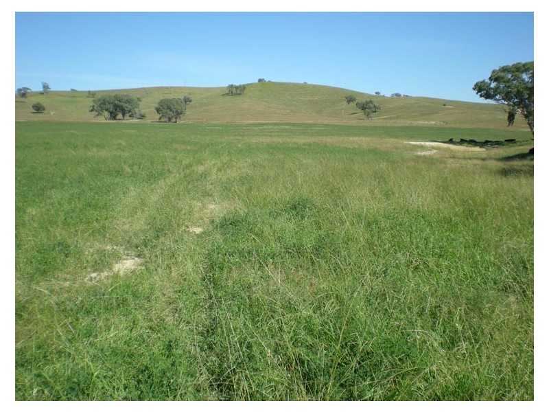 Burrendong Way, Orange NSW 2800