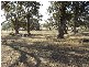 2 Garra Road, Molong NSW 2866